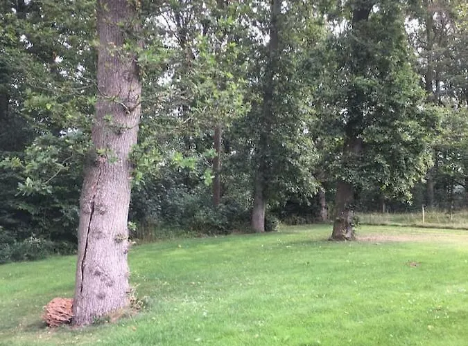 Ro I Skoven - Men Taet Pa Byen * Varde